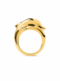 Anillo Flipper