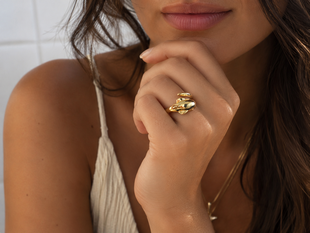 Anillo Flipper