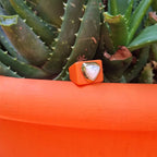 Anillo para mujer color naranja mármol - La Petite Sophie