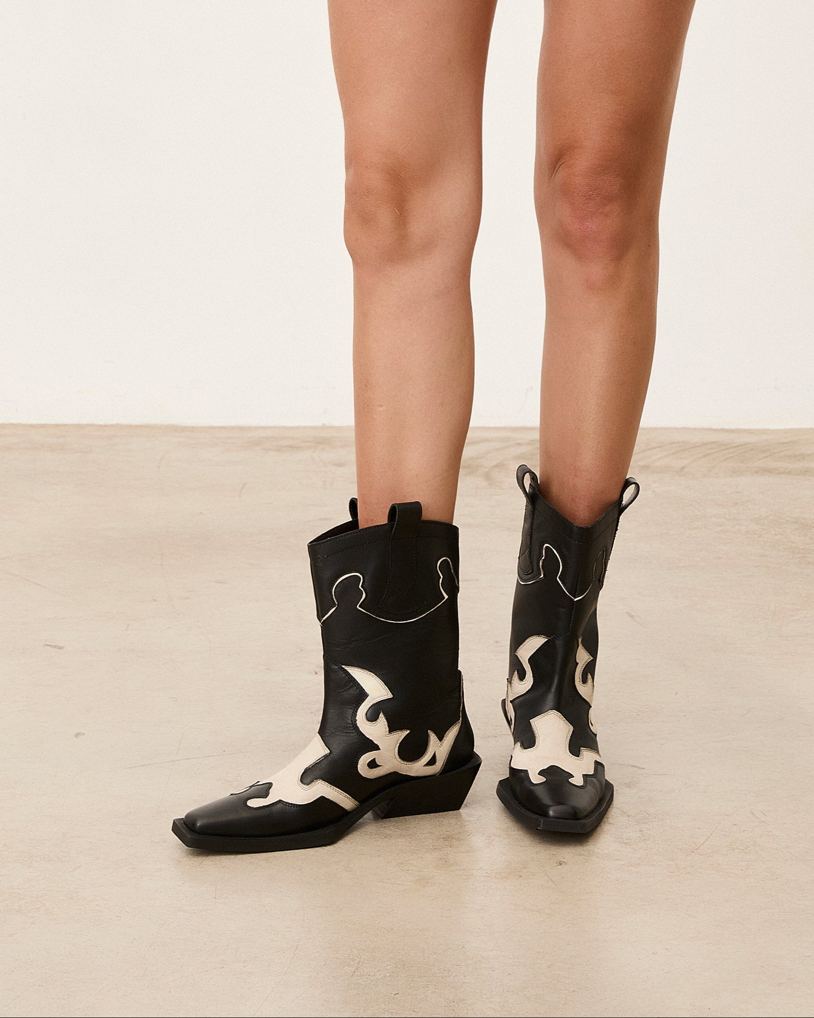 LORY WESTERN NEGRO - La Petite Sophie