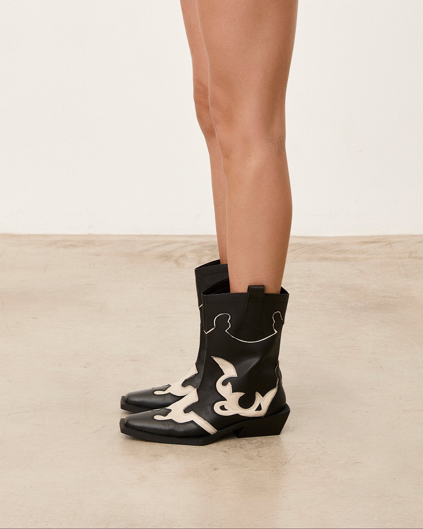LORY WESTERN NEGRO - La Petite Sophie